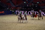 Quadrille - 00343